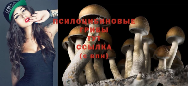 хмурый Заводоуковск