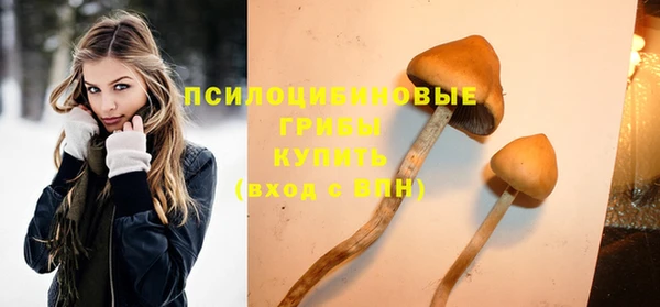 амф Зеленодольск