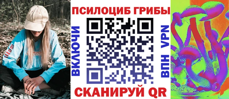 это официальный сайт  купить наркотик  Кемерово  Псилоцибиновые грибы ЛСД 