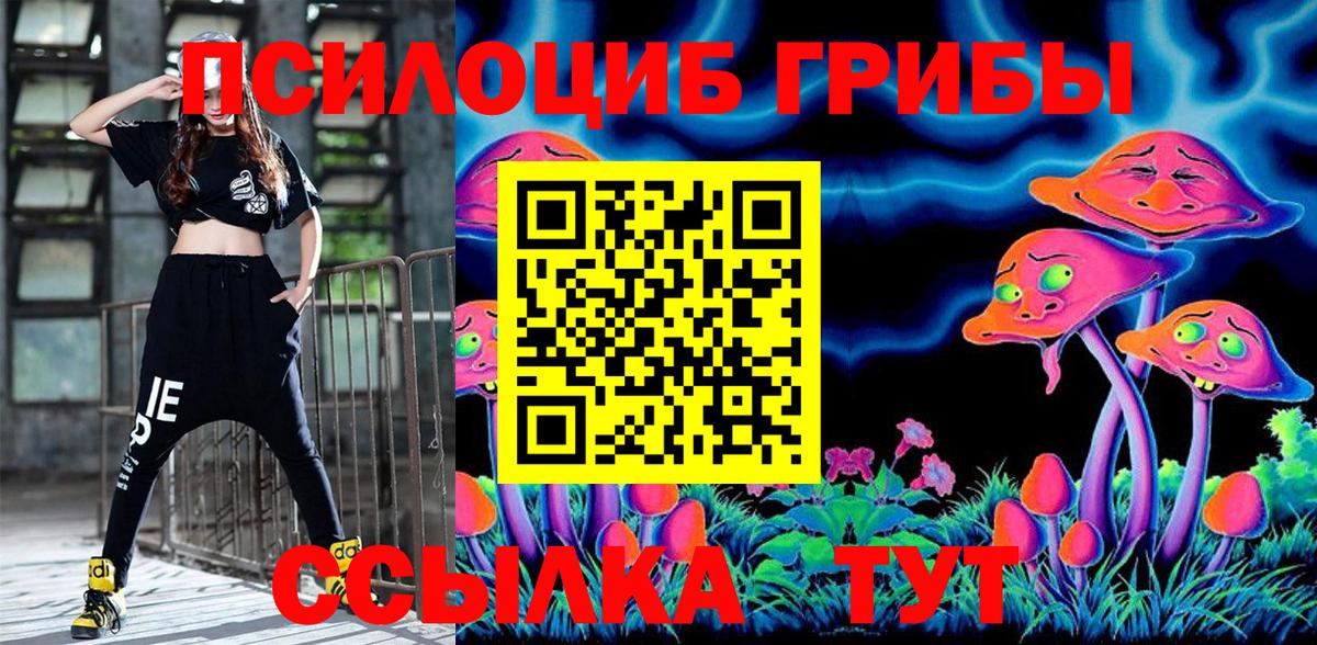 Галлюциногенные грибы Cubensis Кемерово