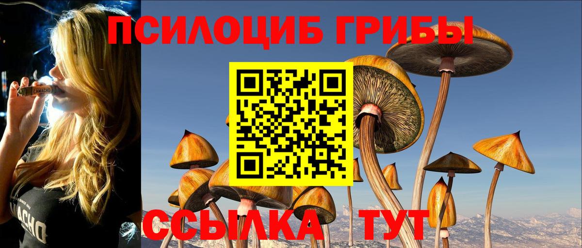 Кемерово  Псилоцибиновые грибы прущие грибы  Псилоцибиновые грибы Psilocybe  Вход с VPN 